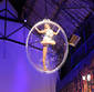The Bubble