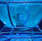 Aquatica