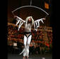 Art Flying
