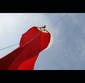 Art Ballooning