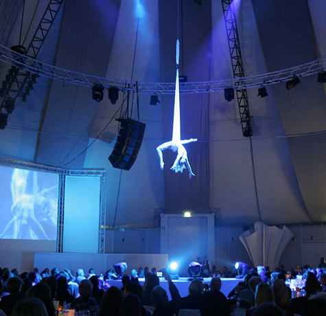 Aerial Net