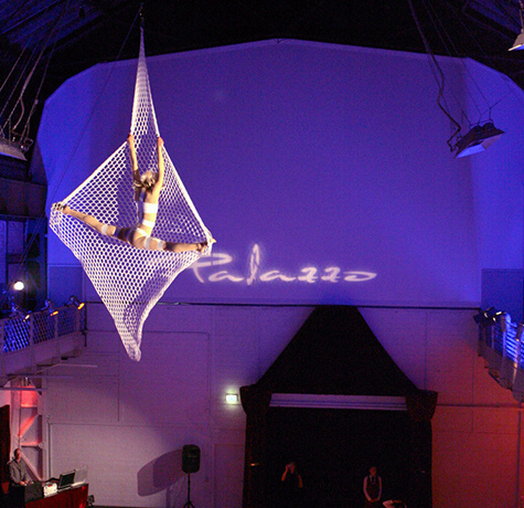 Aerial Net