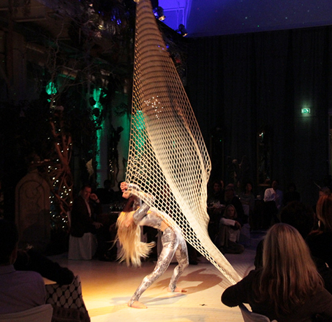 Aerial Net