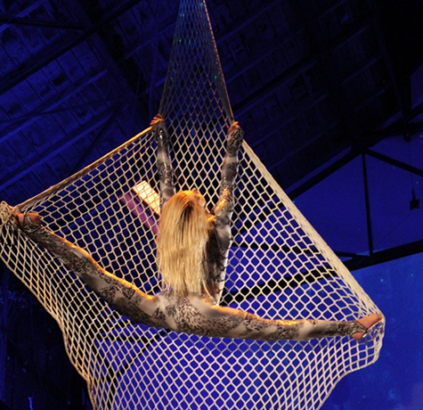 Aerial Net