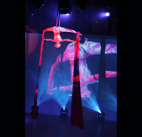 Aerial Silk