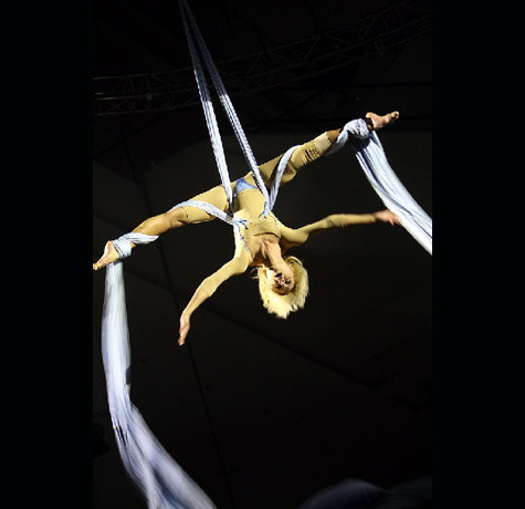 Aerial Silk